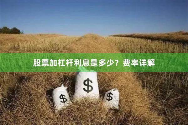 股票加杠杆利息是多少？费率详解