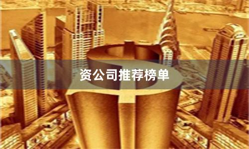 资公司推荐榜单