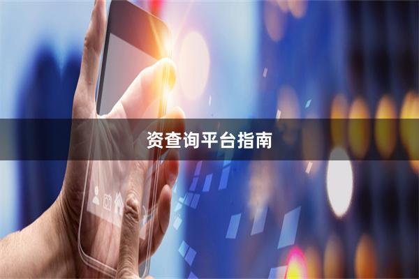 资查询平台指南