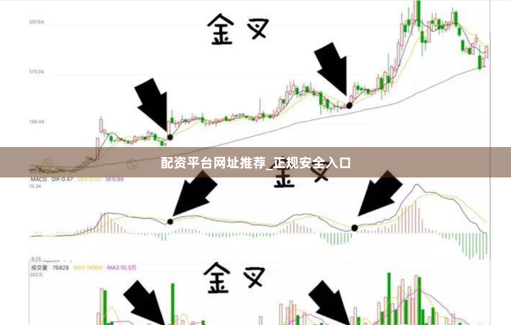 配资平台网址推荐_正规安全入口